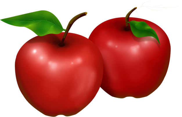 Apple Fruit Illustration